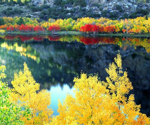 CA, Sierra Nevada, Autumn at Grant Lake